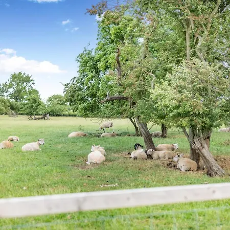 Hébergement de vacances 2 Bed In Marishes Oc-l32535