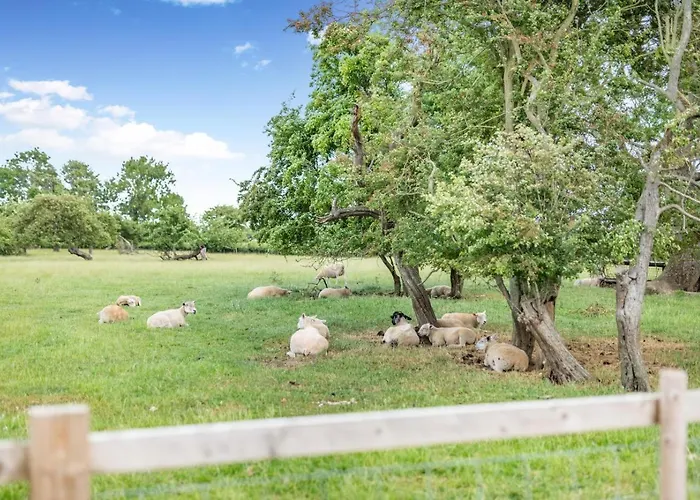 Hébergement de vacances 2 Bed In Marishes Oc-l32535